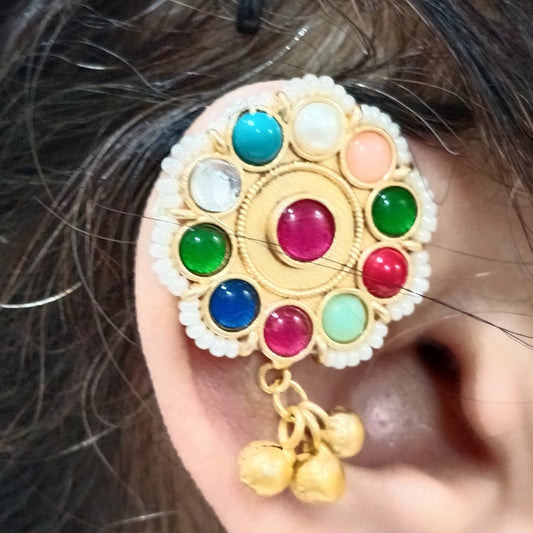 Multicolored Bugdi