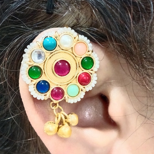 Multicolored Bugdi