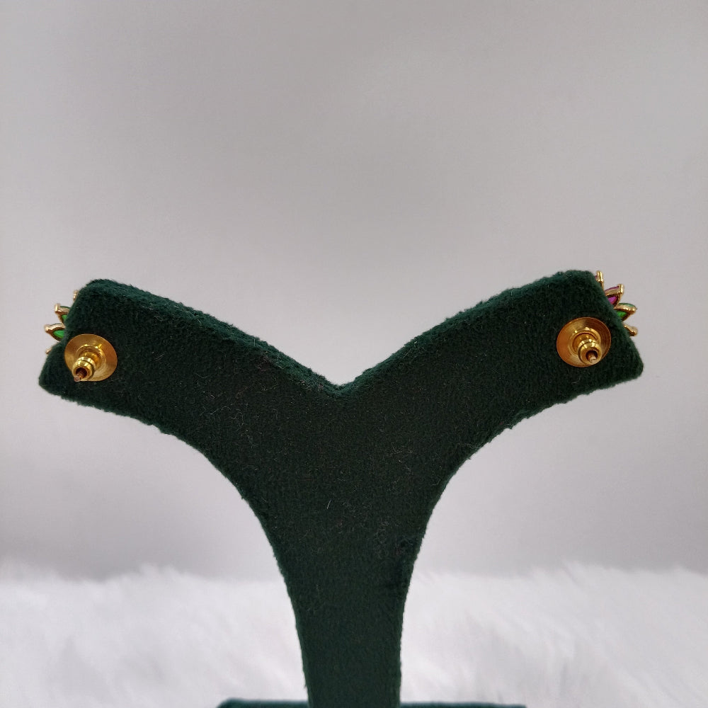 Moti Earrings (Multi-Color)